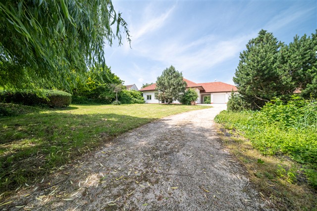 příjezd k domu [15/89]